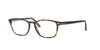 Havana and Blue Tom Ford Frame