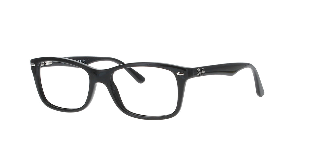 Polished Black Square Rayban Frame