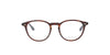 Dark Brown Tortoiseshell Round Kaleos Frame