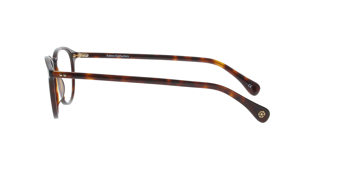 Dark Brown Tortoiseshell Round Kaleos Frame