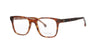 Square Havana Paul Smith Emerson Frame