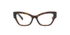 Havana Butterfly Dolce and Gabbana Frame