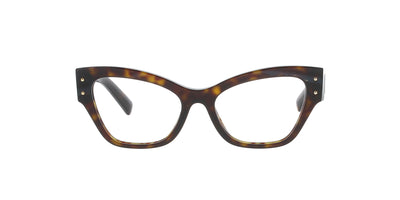 Havana Butterfly Dolce and Gabbana Frame