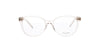 Shiny Nude Crystal Saint Laurent Frame