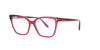 Crystal Fucsia Tom Ford Frame