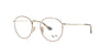 Havana on Gold Round Metal Rayban Frame