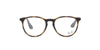 Round Havana Rubber Rayban Frame