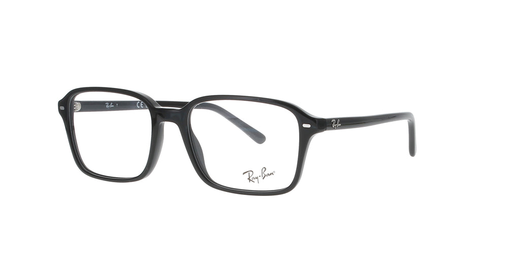 Polished Black Rayban Raimond Frame