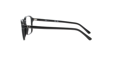 Polished Black Rayban Raimond Frame