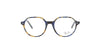 Polished Yellow and Blue Havana Rayban Thalia Frame