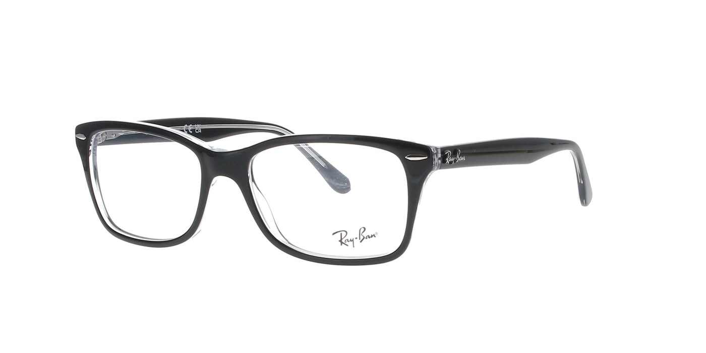 Polished Black on Transparent Rayban Frame