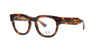 Glossy Striped Havana Rayban Mega Hawkeye Frame