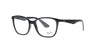 Polished Black Rayban Frame