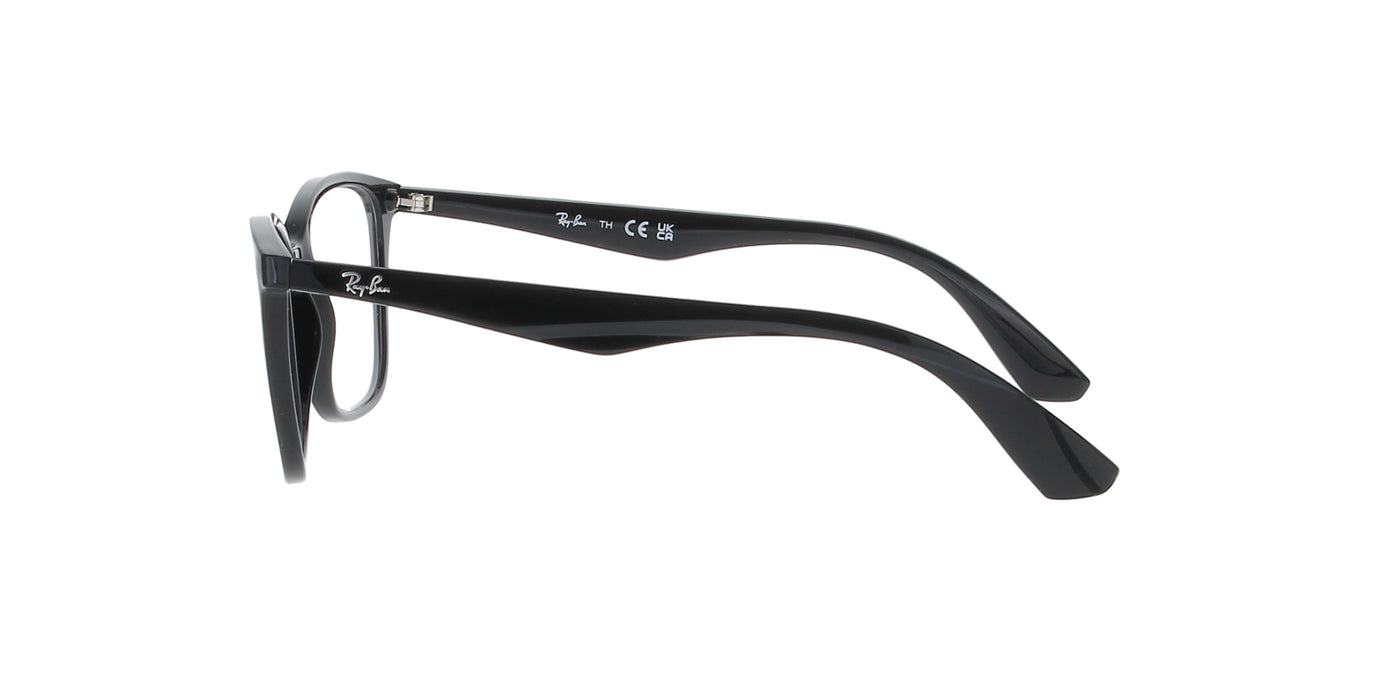 Polished Black Rayban Frame