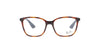 Polished Light Havana with Blue Rayban Frame