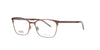 Matte Brown Stainless Steel Hugo Boss Frame