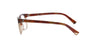 Shiny Havana and Nude Nina Ricci Frame