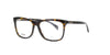 Dark Havana Moschino Frame