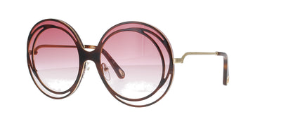 Dark Havana on Gold Chloe Sunglasses