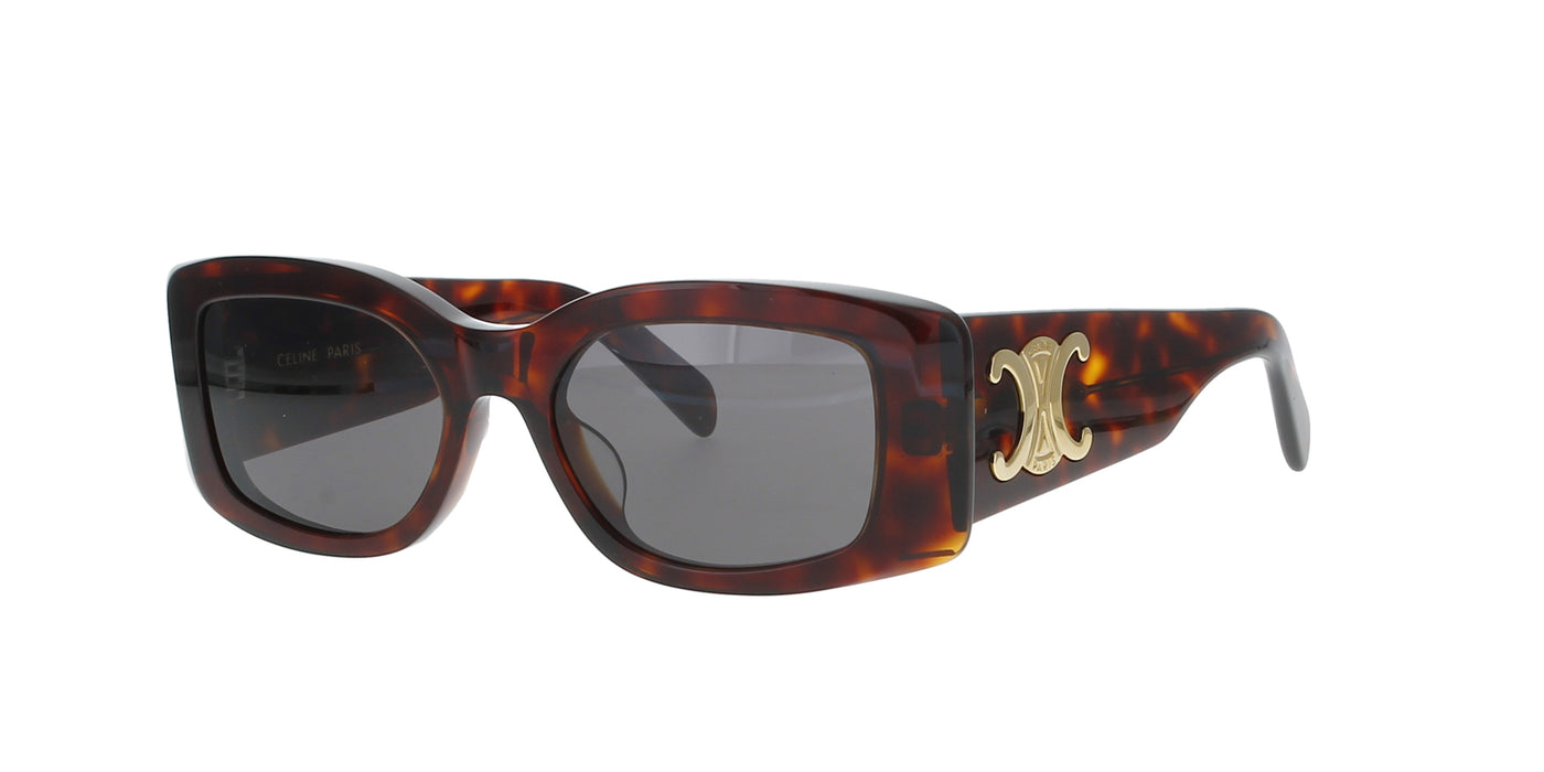 Shiny Dark Havana Celine Triomphe Sunglasses