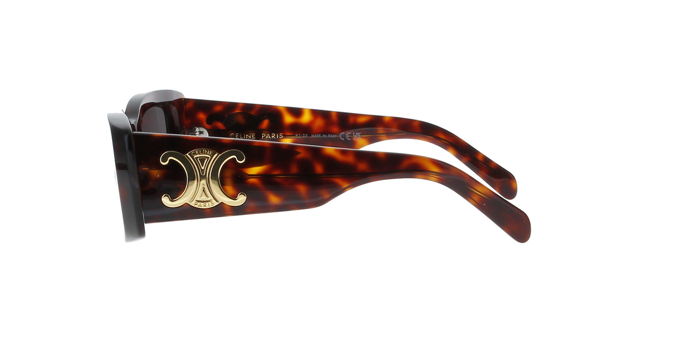 Shiny Dark Havana Celine Triomphe Sunglasses