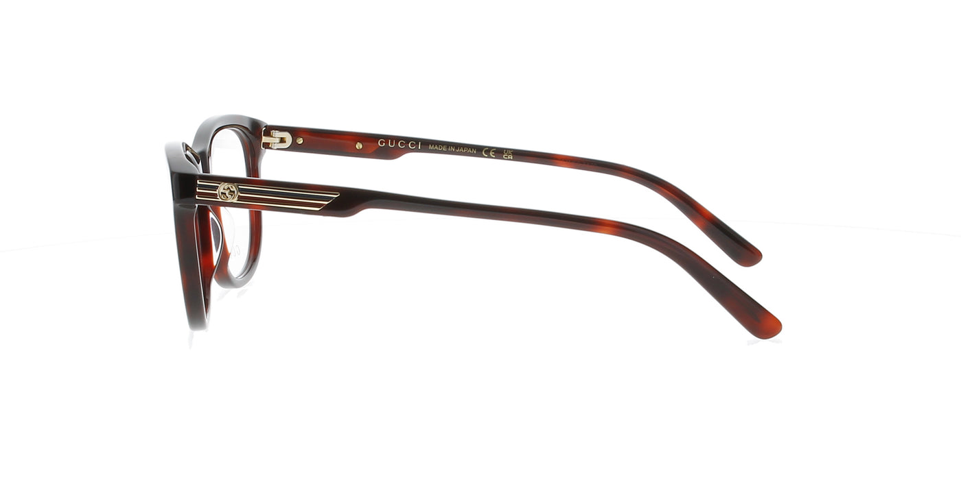 Dark Havana Gucci Frame