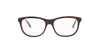 Dark Havana Gucci Frame