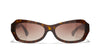 #colour_dark-havana-brown-gradient-polarised