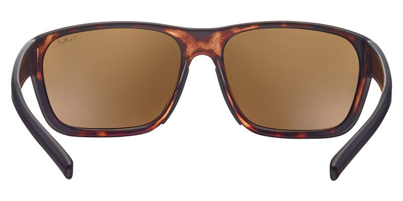 #colour_tortoise-matte-brown-gunmetal-polarised