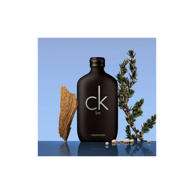 Calvin Klein CKBE Eau De Toilette Spray 200ML: A Modern and Versatile Fragrance