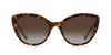 Kate Spade Amberlee/S Havana/Polarised Brown Gradient #colour_havana-polarised-brown-gradient