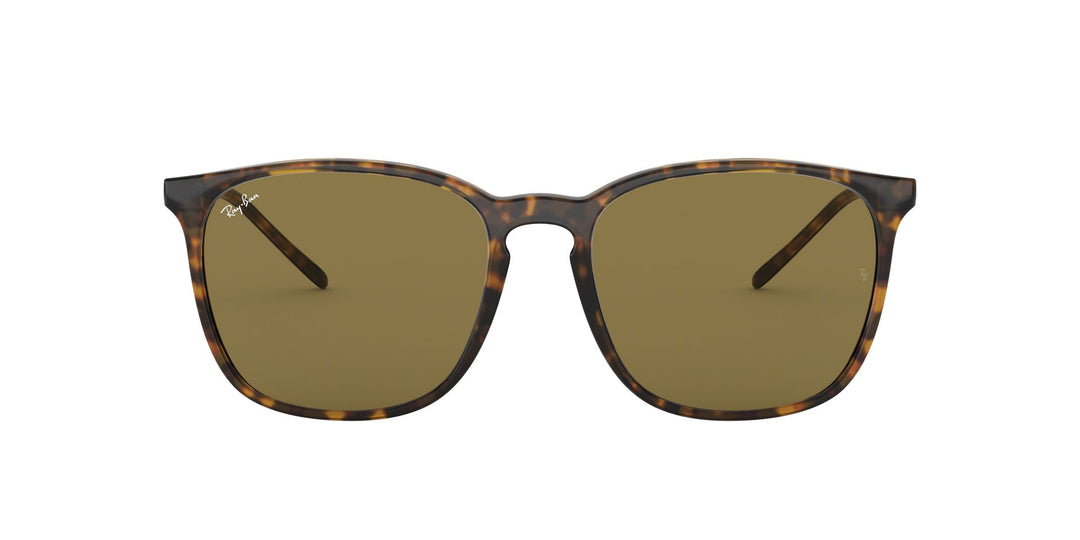 Ray Ban RB4387 Sunglasses Fashion Eyewear US