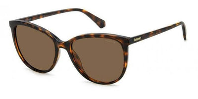 Polaroid PLD4138/S Havana/Bronze Polarised #colour_havana-bronze-polarised